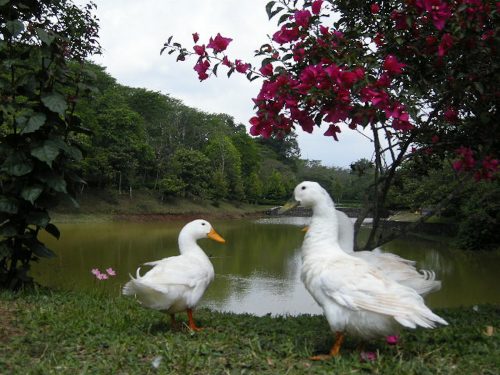 Parque Natura - Xalapa Veracruz