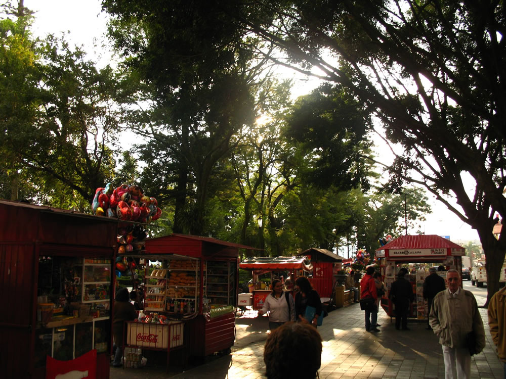 Fotos Parque Juárez Xalapa Veracruz