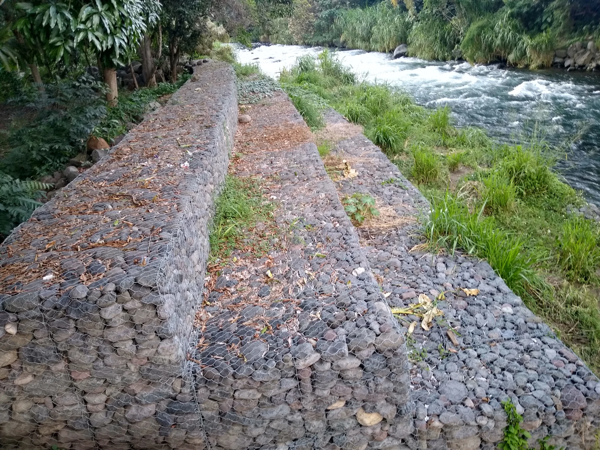 Río Actopan: el viaje del agua que aparece entre las rocas cerca de Xalapa