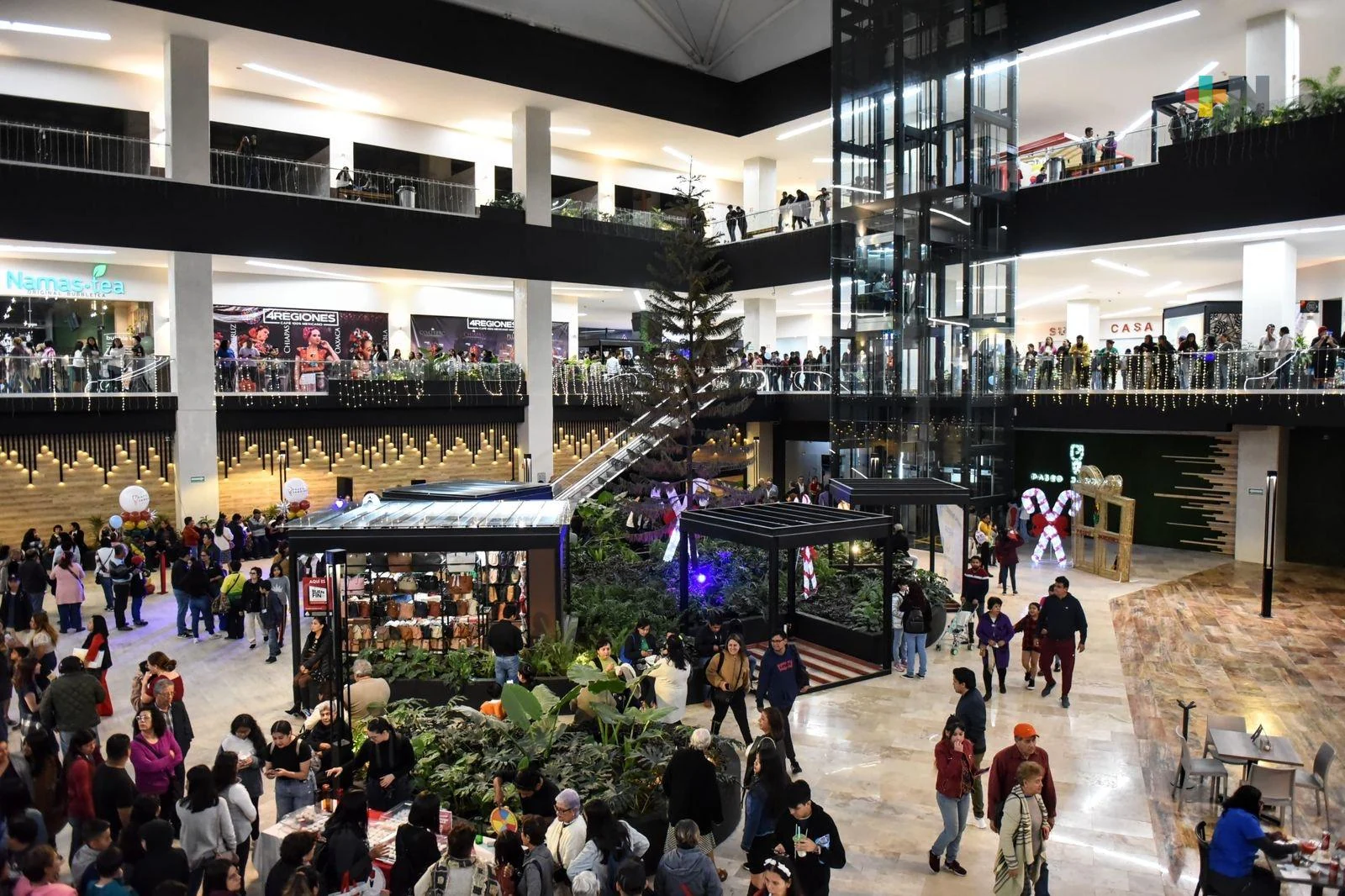 Paseo Jardines: la plaza junto al Walmart que amplió el plan de una tarde en Xalapa
