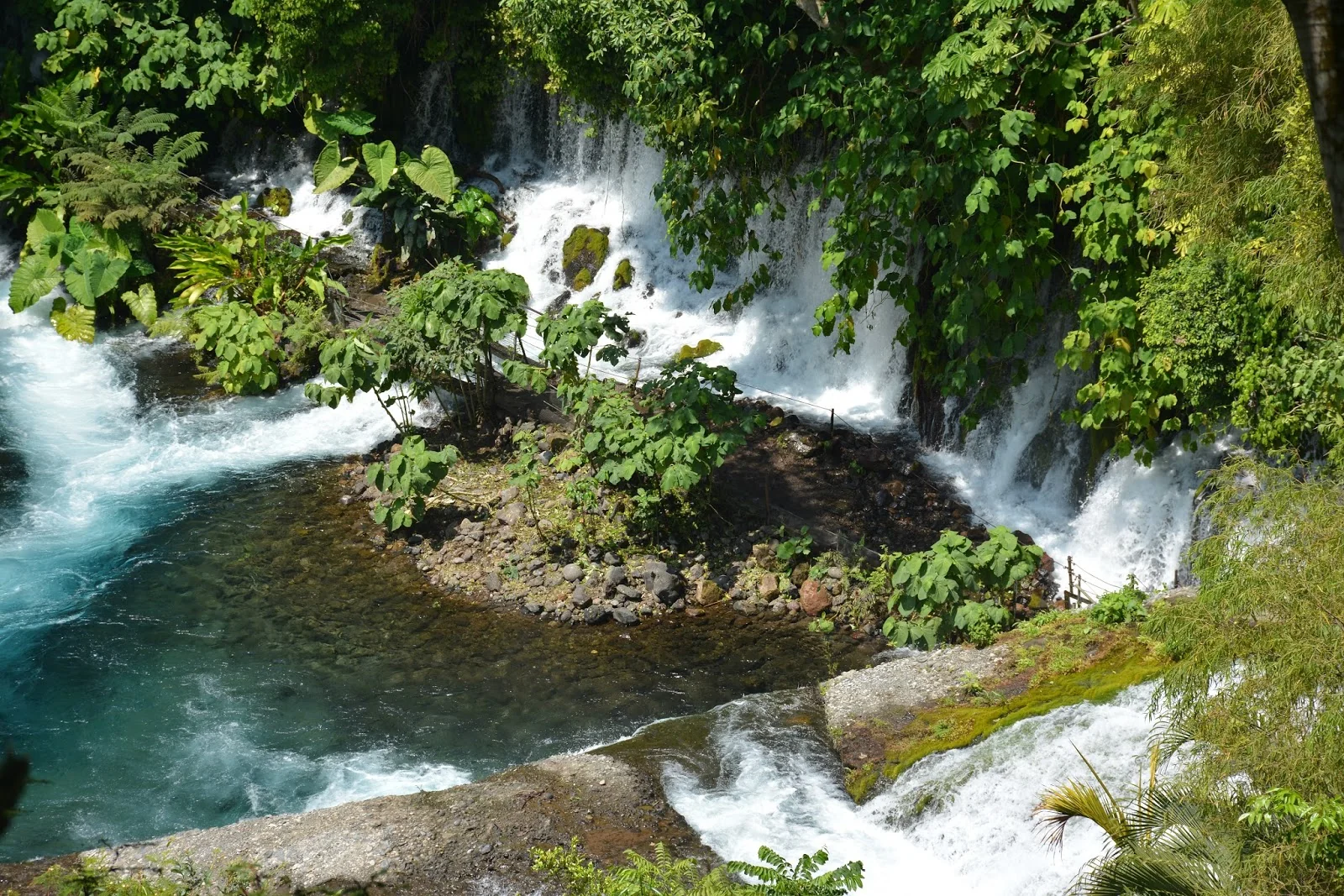 El Descabezadero: cerca de Xalapa, el agua sale de las rocas y cambia el paisaje